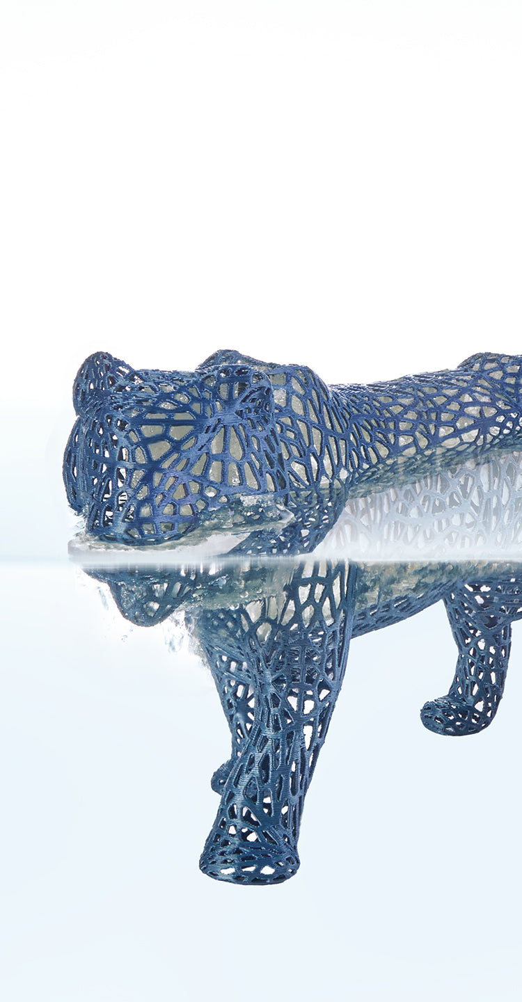 ANYCUBIC-DE